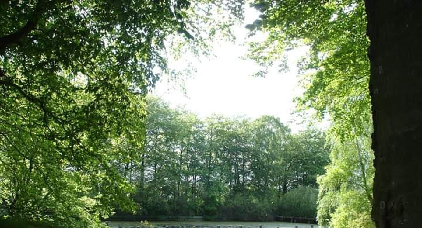 Natuur Smeerling