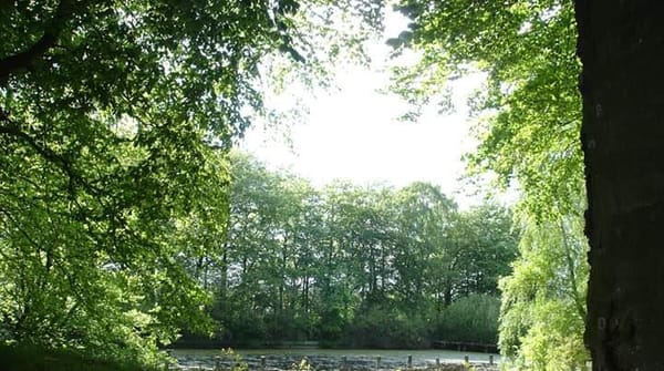 Natuur Smeerling
