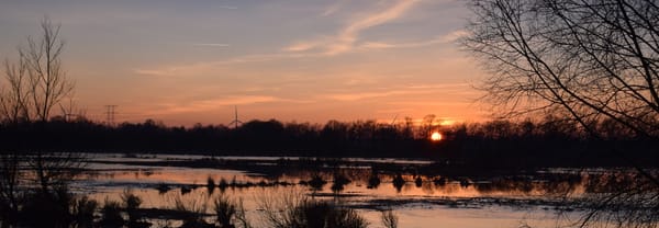 Kampina in de avond