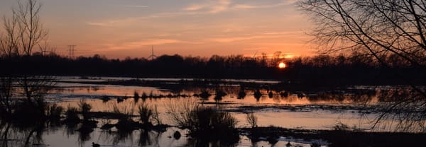 Kampina in de avond