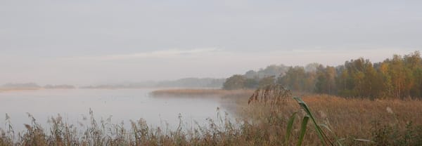 Naardermeer