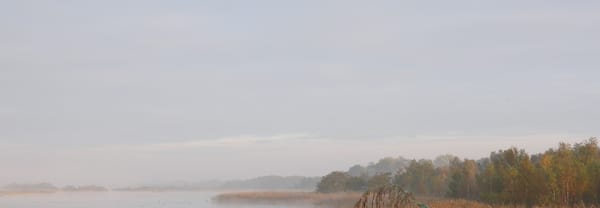 Naardermeer
