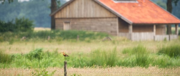 Vogelkijkhut Ottershagenschöpke