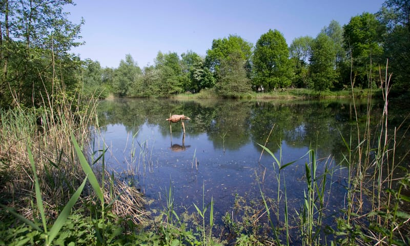 Kooiplas Landgoed Haarzuilens