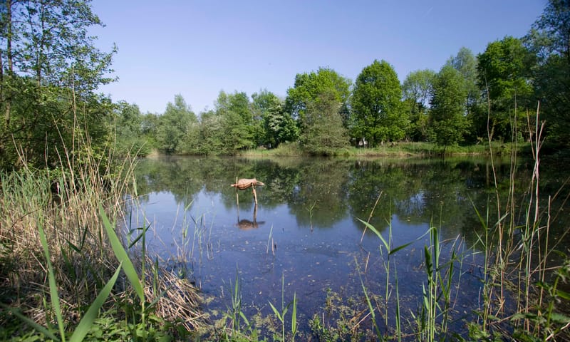 Kooiplas Landgoed Haarzuilens