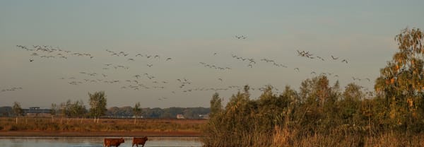Leikeven Huis ter heide