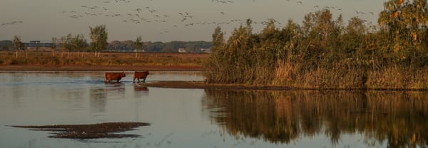 Leikeven Huis ter heide