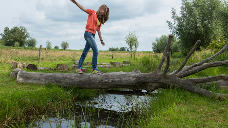 Laarzenpad, bij Bezoekerscentrum De Wieden