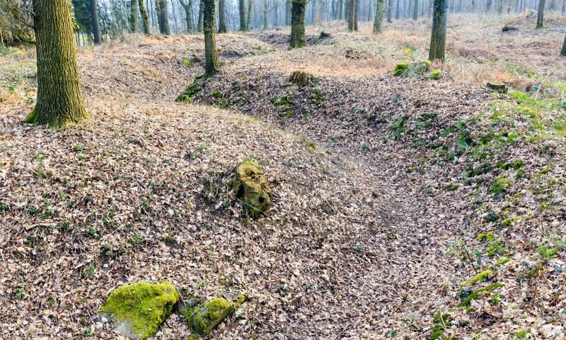 Loopgraaf in Bergherbos