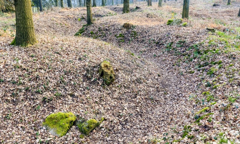 Loopgraaf in Bergherbos