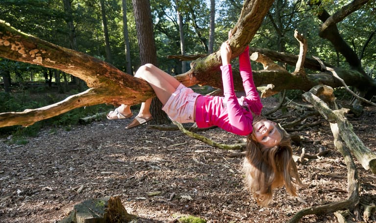 Speelnatuur van OERRR Oisterwijk