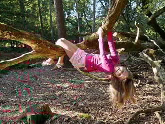 Speelnatuur van OERRR Oisterwijk