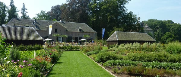 Moestuin met boomgaard Moestuin met boomgaard