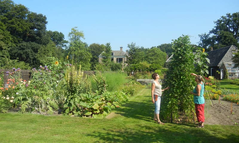 Moestuin Velhorst Natuurmonumenten