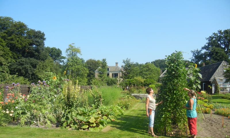 Moestuin Velhorst Natuurmonumenten