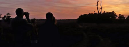 Beleef de Nacht van de Nacht op het Mosselse Zand