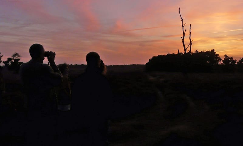 Beleef de Nacht van de Nacht op het Mosselse Zand