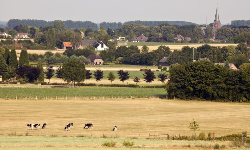 Montferland
