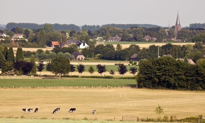 Montferland
