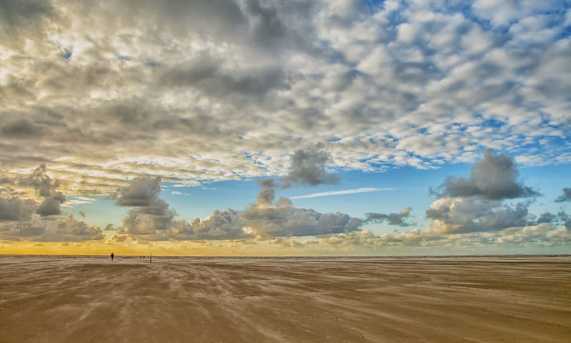 Noordzeestrand Schiermonnikoog