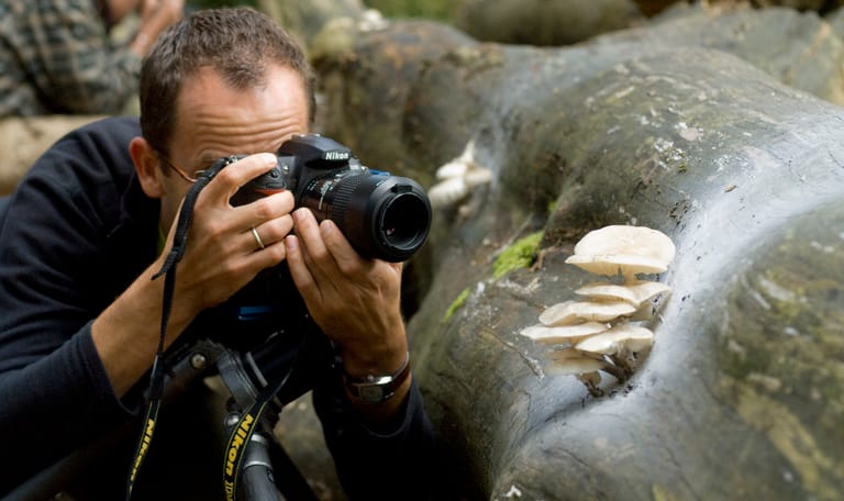 Fotoworkshop in de Kaapse Bossen