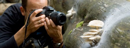 Fotoworkshop in de Kaapse Bossen