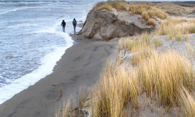 De stormen hebben de duinen deels weggeslagen op Noordzeestrand Schiermonnikoog