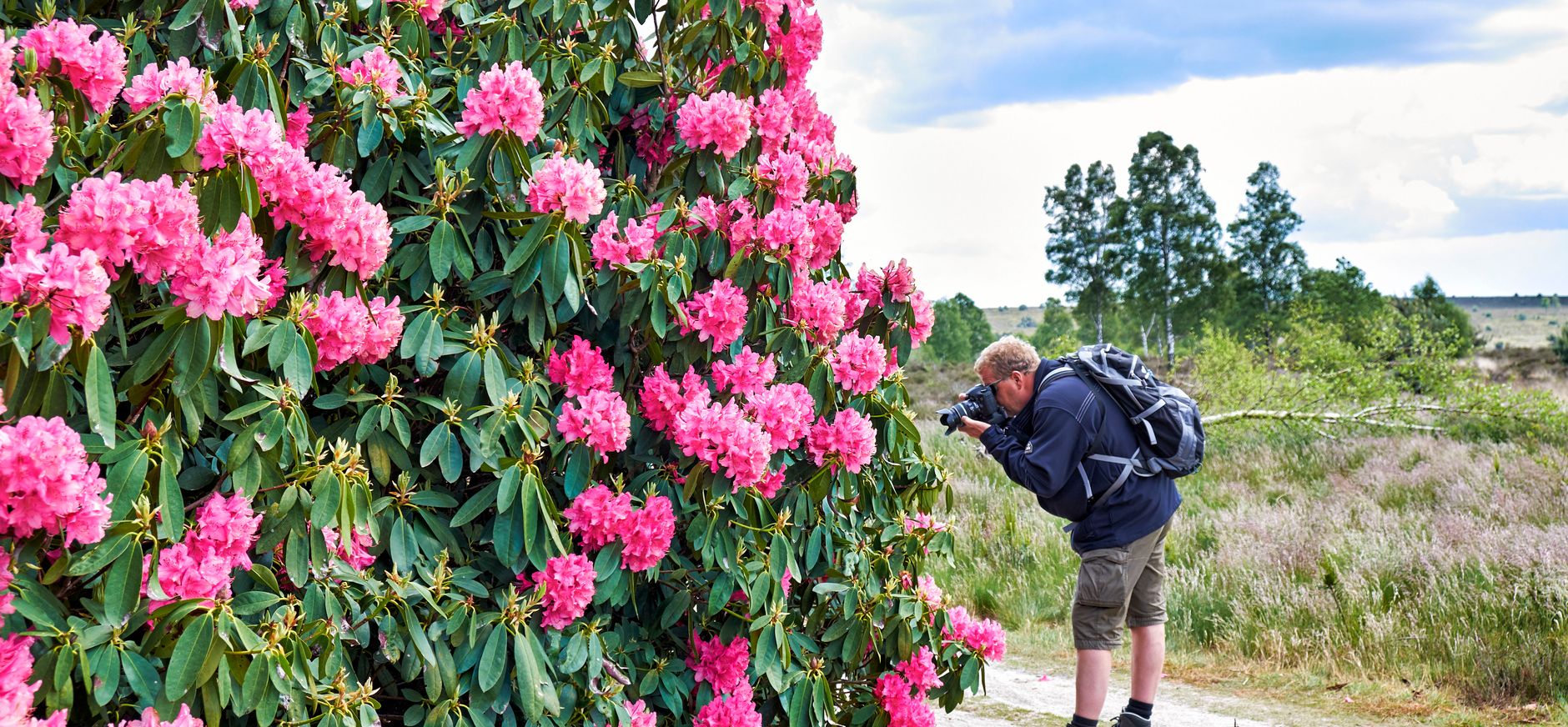 Groepsexcursie De Sallandse Heuvelrug