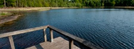 Wandelroute landgoed Visdonk, bij Roosendaal