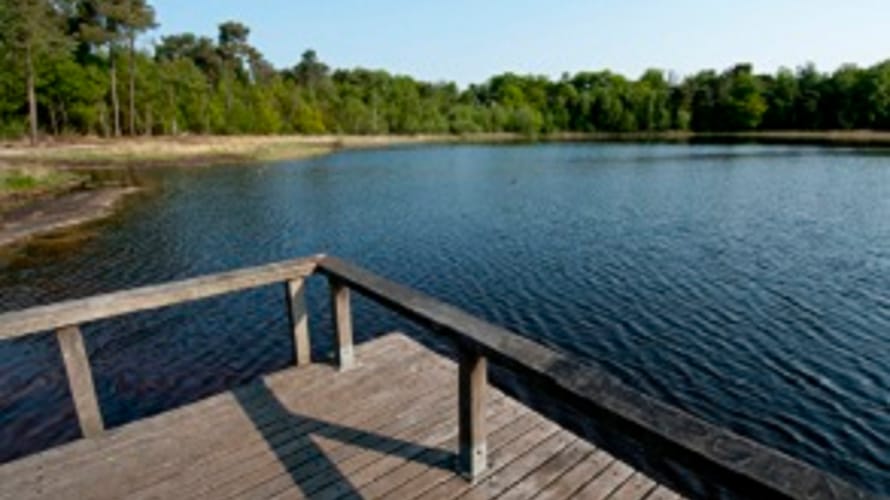 Wandelroute landgoed Visdonk, bij Roosendaal