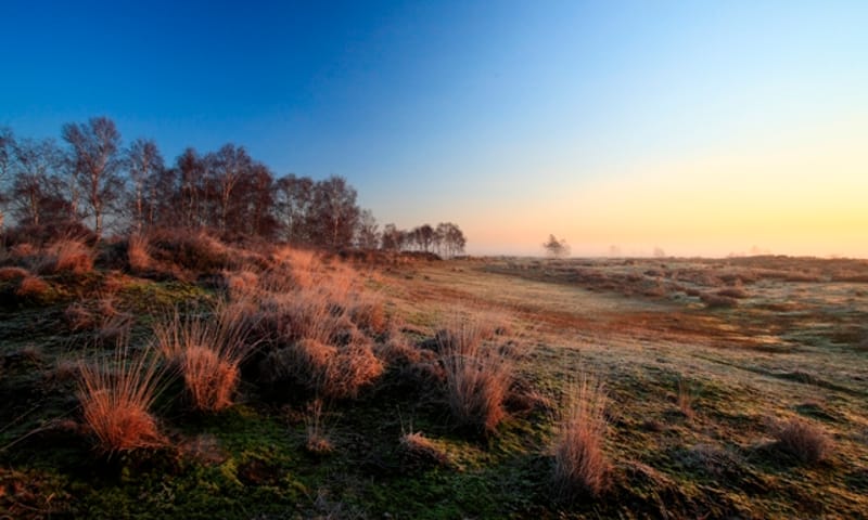 Dauwwandeling Kleine Meer - Grenspark