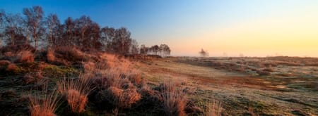 Dauwwandeling Kleine Meer - Grenspark
