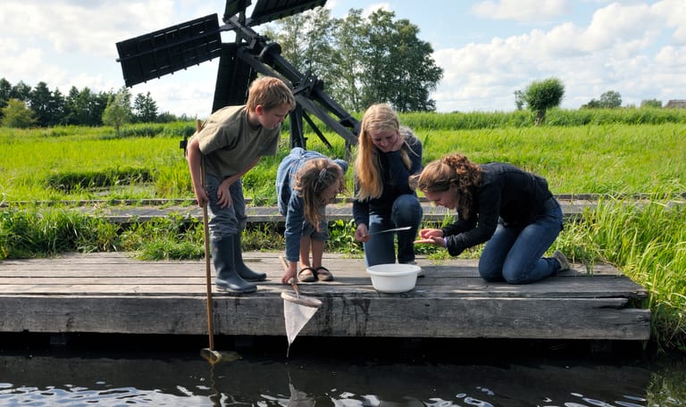 Waterdieren zoeken met een schepnetje