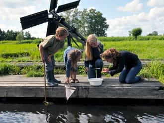 Waterdieren zoeken met een schepnetje