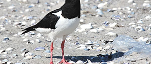 Uitwaaien op het strand Uitwaaien op het strand