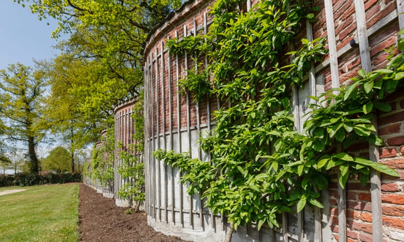 Slangenmuur op landgoed Schaep en Burgh