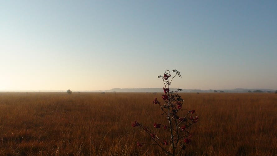 Heide Fochteloo