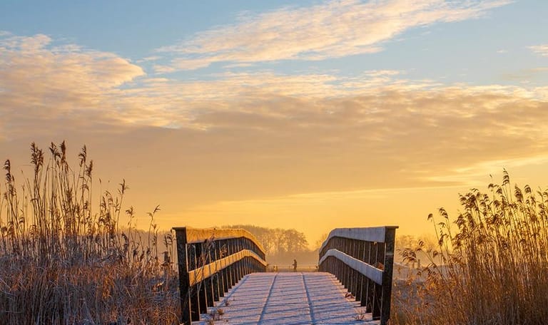 Natuurgebied de Onlanden. Nabij Groningen gelegen.