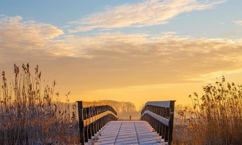 Natuurgebied de Onlanden. Nabij Groningen gelegen.