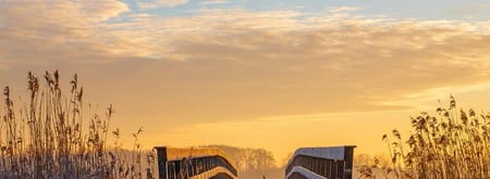 Natuurgebied de Onlanden. Nabij Groningen gelegen.