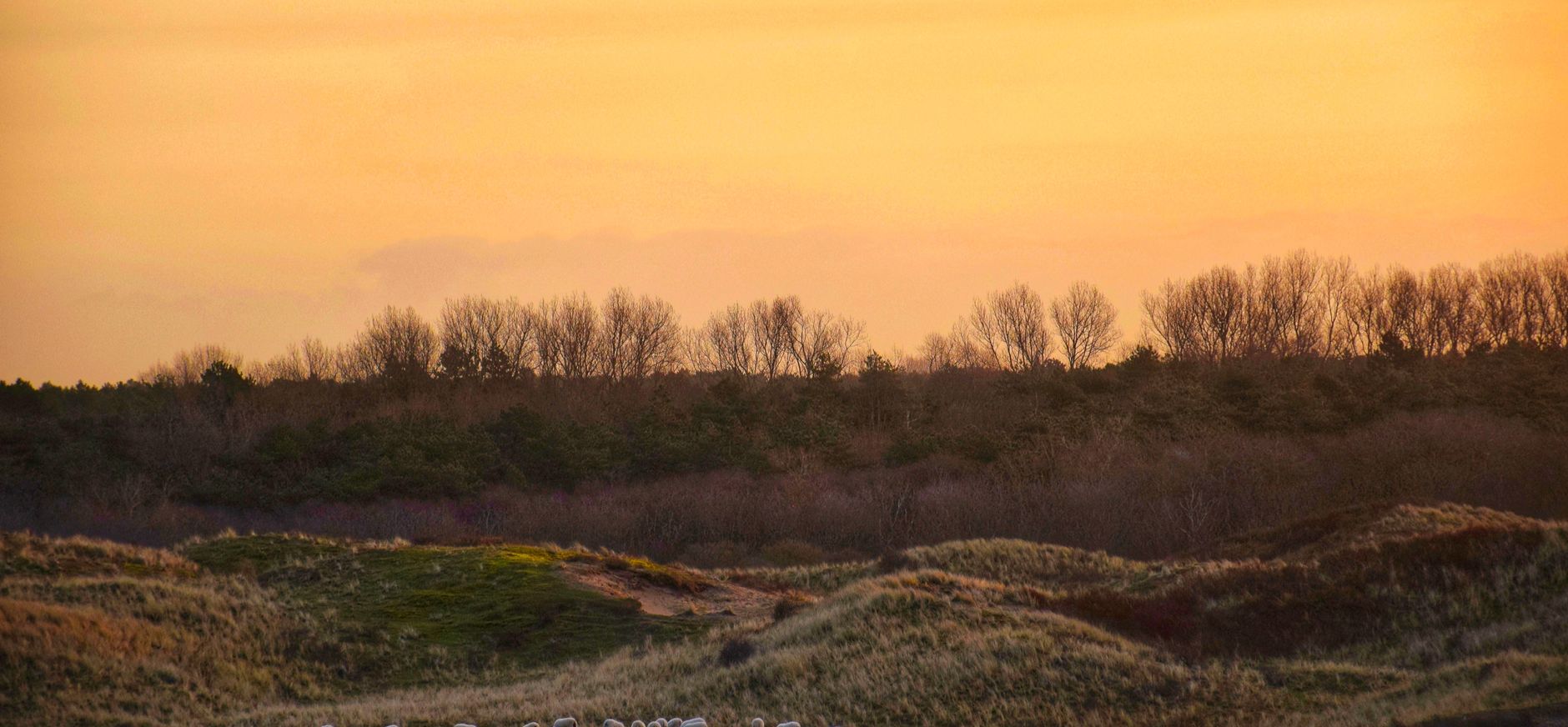 Zonsopkomst in de duinen