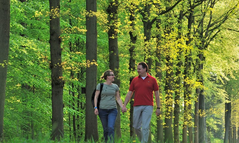 Wandelroute Velhorst, in de Graafschap