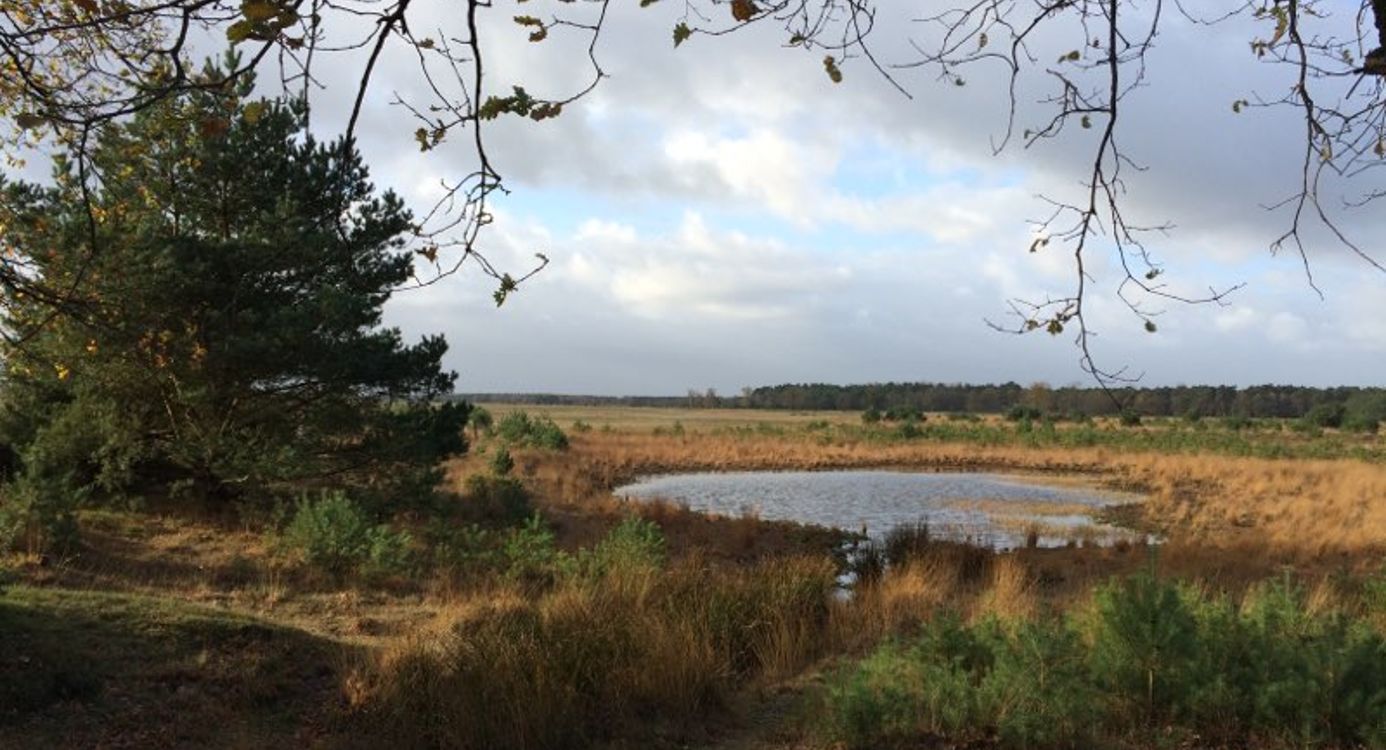 Wandelroute Twee Landen pad, vogelroute bij Bergeijk