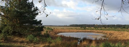 Wandelroute Twee Landen pad, vogelroute bij Bergeijk