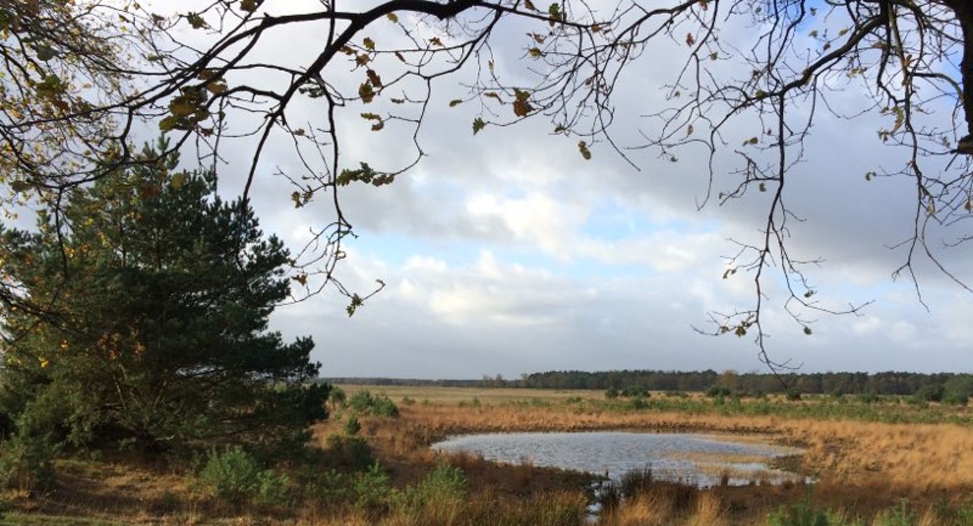 Wandelroute Twee Landen pad, vogelroute bij Bergeijk