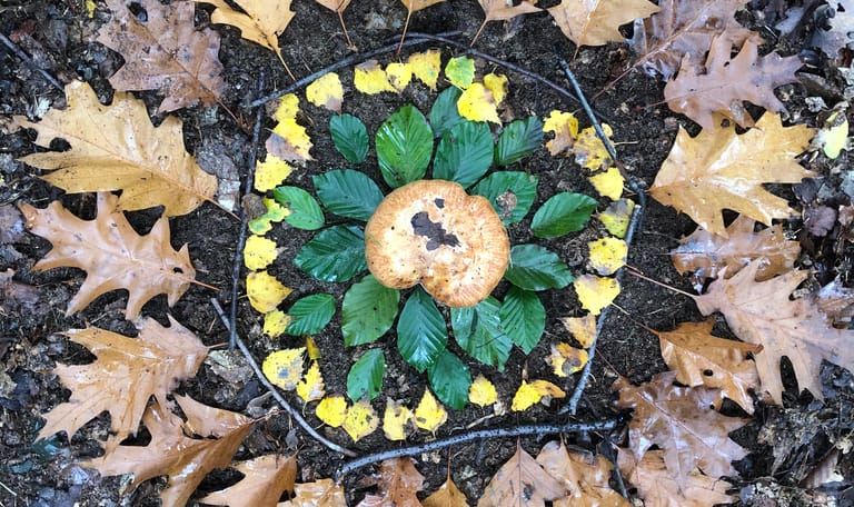 Creatief in de natuur