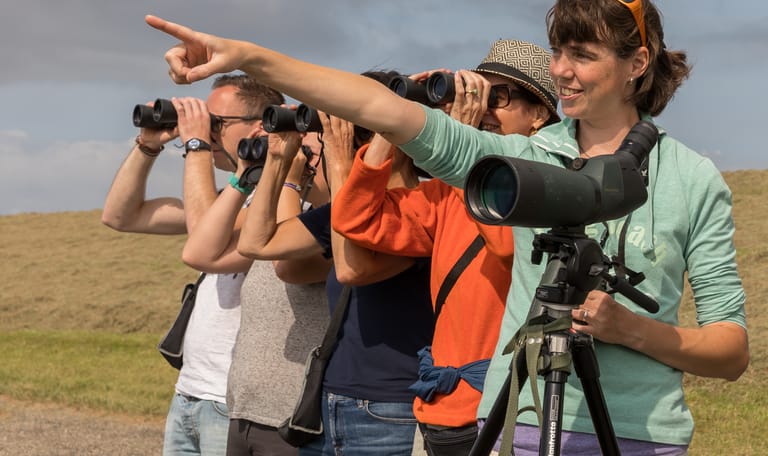 Vogels kijken op Schiermonnikoog