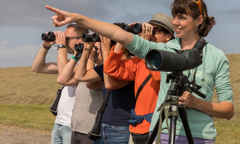 Vogels kijken op Schiermonnikoog