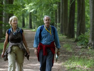 Historische wandelroute Planken Wambuis