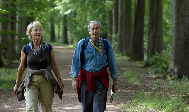 Historische wandelroute Planken Wambuis